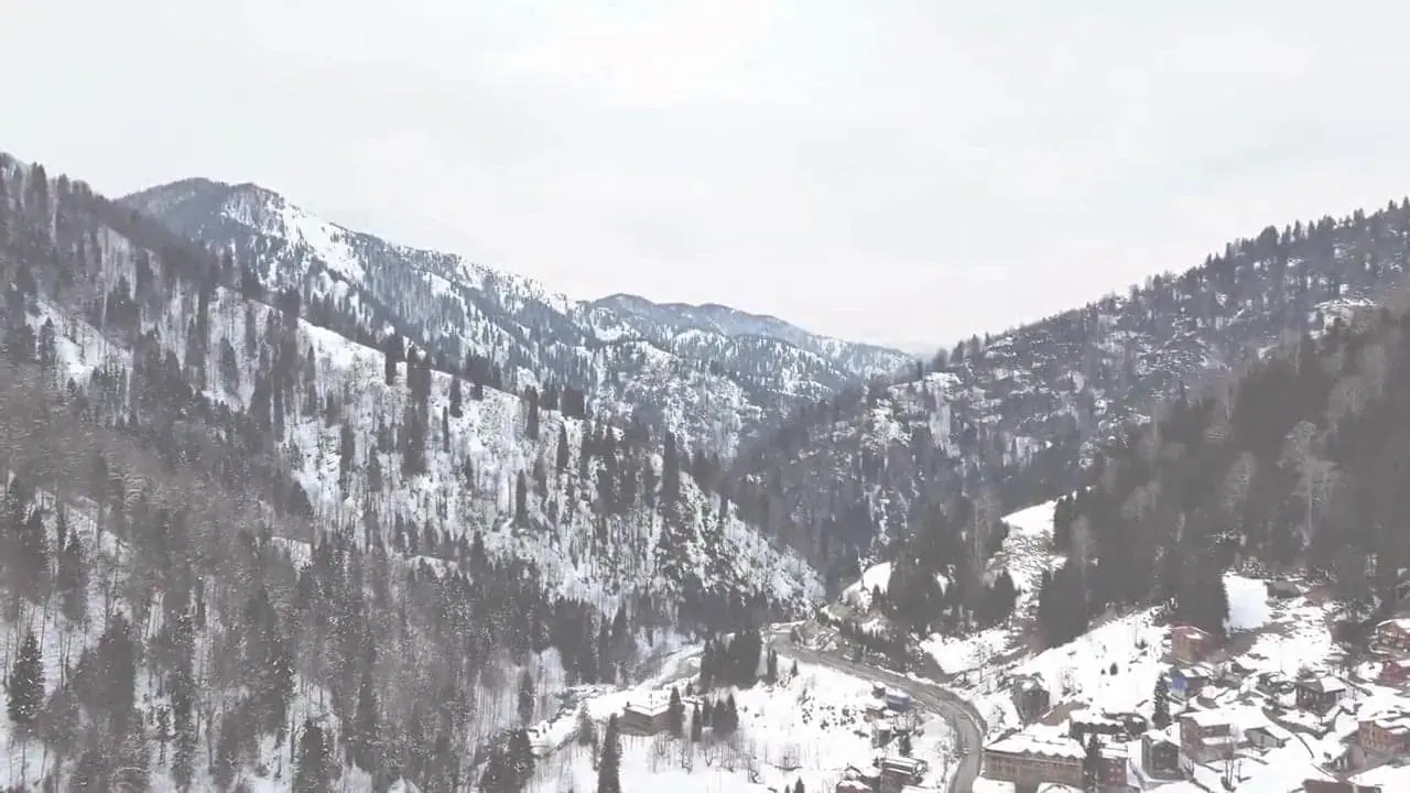 Artalp Tanıtım Filmi
